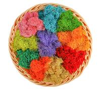 CCINEE 7 oz Mixed Color Reindeer Lichen, 10 Colors 0.7 oz Each Preserved Nordic Dried Floral Forest Lichen for Fairy Gardens Gift Packing Dressing Potted Flower Arrangement Craft Project Lichen Wall
