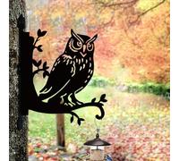 Cciphy 1 Pack Iron Hanging Plant Bracket, Cute Owl Silhouette Wall Mounted Planter Hanger Hook with Screws, Indoor Outdoor Heavy Duty Hanging Holders (Owl)