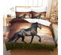 CCIZFMQ 3 Pcs 3D Print Black Beauty Quilt Cover Grassland Sunset Microfiber with Zipper Closure for Kid Teens Boys And Girls Bedroom Double(200x200cm)