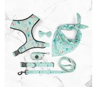 CCOLDRFAK Printed six-Piece pet Supplies Comfort Polyester Dog Harness Double-Sided Printed Dog Harness