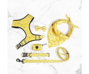 CCOLDRFAK Printed six-Piece pet Supplies Comfort Polyester Dog Harness Double-Sided Printed Dog Harness, Curious and naughty yellow