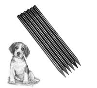 Ccomage 6 Pcs Woodless Black Graphite Pencils Set HB 2B 4B 6B 8B EE Professional Sketching Pencils Art Supplies Sketch Drawing Pencil for Drawing, Writing, Shading, Coloring Gift for Artist Beginner