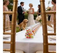 ccuzs Cute Candy Jar - 12 Pieces Bear Shape Bottle | Clear Candy Containers with Lids for Gummies, Coffee Beans, Treats, Sugar, Tea Pantry Counter Wedding or Valentines