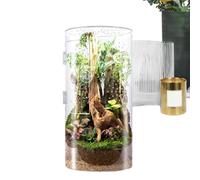 ccuzs Jumping Spider Habitat, Jumping the Spider Ground | Tree Acrylic Tank - Waterproof Tarantula Celette with Front Opening Door for Small Reptiles from House