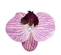 ccuzs Women Flower Hair Clip Orchid Hair Clip Flower Hair Clip Hair Accessories Headpiece Shape, Elegant Hair Clips with