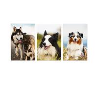 CCWACPP 3 Panels Custom Personalized Canvas Prints with Your Photos for Pet/Animal Modern Home Decoration (3 Panel Unframed, 7" Wx5 H（18x13cm）)