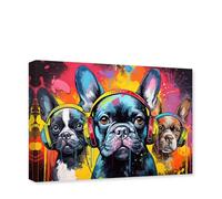 CCWACPP Graffiti Dog Pictures Wall Decor - Colorful Animal Canvas Wall Art - Dog Wears Headphones - Painting Print - Home Decor Frame (4, 30.00 x 45.00 cms)