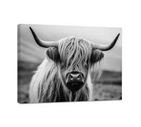 CCWACPP Highland Cattle Wall Art Highland Cow Wall Decor Black And White Cow Canvas Pictures Farm Animals Painting Farmhouse Landscape Artwork Prints Framed (C, (40.00 x 60.00 cms))