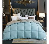 CCXXYGWJ Luxury All Season Double Duvet White Goose Down Quilt Comforter with Cotton Cover Thicken Winter Warmth for King Queen Twin Full Beds
