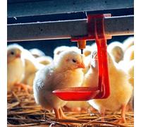 CCYLEZ Chicken Waterer with Easy Installation, 6.5cm | Red color, Safe ABS material, Easy cleaning, Perfect for poultry farms, Convenient use