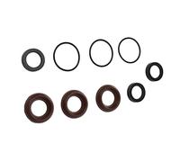 CCYLEZ Pressure Washer Pump Seal Kit 18mm AR1857