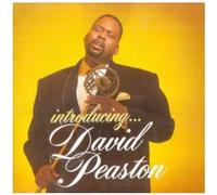 CD Album ( 9 Titel, incl. two wrongs don't make it right , we're all in this together , god bless the child , can I? , take me now etc. )