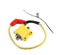 CDI Box Igniter CDI Unit Box Ignition Coil CDI With DIP Switch For ZhongShen NC250 NC300 NC 250 NC 300 Engine Motorcycle Parts Module