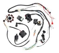 CDI Box Igniter Electrics CDI Wire Harness Stator Assembly Wiring For 150cc 200cc 250cc Push Rod Engine Dirt Bike ATV QUAD Motorcycle