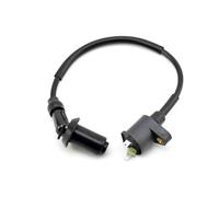 CDI Ignition Coil AC CDI Unit Box & Coil Motorcyle Ignition Magneto Stator Plate For Rebel CA250 CMX 250C 1996'- QJ253FMM QJ250-3 QJ250-F