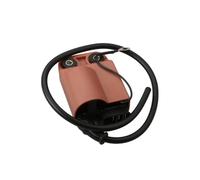 CDI/Ignition Coil Fit For Atlantis 50 Bullet GP1 Open Racing Revolution Replica 50cc