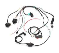 CDI Ignition Coil Full Complete Electrics Wiring Harness For 50 70 90cc 110cc 125cc Solenoid Coil CDI Quad Dirt Bike ATV Moto