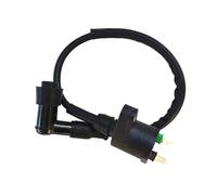 CDI Ignition Motorcycle Ignition Coil CDI For Motos High Pressure Coil For ATV Moped Scooter Part Motorcycle CDI Ignition Box