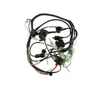 cdi ignition unit Full Wiring Harness Ignition Coil CDI For 150cc 200cc 250cc 300cc For Lifan For Zongshen For Buggy for Quad Electric Start for Engine