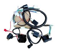 Cdi Ignitor Box Motorcycle Electrical Wiring Harness Wire Cable For CG125 ZJ125 CDI Regulator Starter Ignition Coil