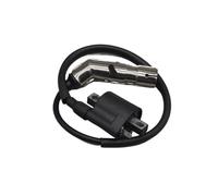 CDI Unit Box Replacement For AU200 ATV200 For Loncin 200cc For LX200M LC162FMK 200AU Motorcycle Engine Cdi Relay Igniton Coil Flasher Rectifier Atv