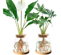 CDIYTOOL 2pcs Plants Propagation Station, Hydroponics Glass Vase Clear Glass Terrarium Plants Propagation Planter with Wooden Lid for Hydroponic Home Office Decor