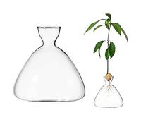 CDIYTOOL Glass Avocado Seed Sprout Starter Vase, Clear Avocado Tree Growing Vases, Glass Garden Seed Starter Planting Vase for Home Table Desk Indoor Decor