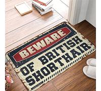 CDSS Outdoor Rug For Front Door Beware Of British Shorthair Rug Gamers Accessories Fall Front Door Mat(40X60CM)