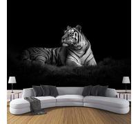 CDXNORA Photo Wallpaper Black 150×105cm Wildlife Waterproof Silk Wall Mural Tiger Print Decoration for Bedroom Living Room Kitchen TV (Not Self-Adhesive)