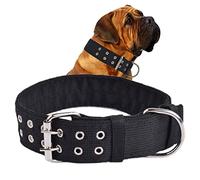 Cdycam Pet Dog Metal Buckle 2-Rows Army Green Nylon Fabric Belt Strap Adjustable Collar (L, Black)