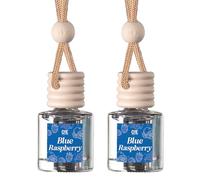 CE CRAFT Car Air Hanging Fragrance Oil Diffuser, Auto Freshener for Essential Oils, Scents Aromatherapy, Long Lasting (Blue Raspberry)
