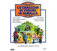 c'e' qualcosa di strano in famiglia dvd Italian Import