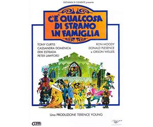 c'e' qualcosa di strano in famiglia dvd Italian Import