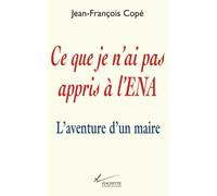 Ce que je n'ai pas appris à l'ENA: L'aventure d'un maire