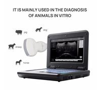 CE Veterinary Ultrasound scanner Laptop machine+3.5Mhz Convex For Goat/sheep/Pig