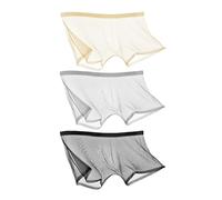 CEAeis Ice Silk Sexy Mesh Full Transparent Boxer Shorts, Breathable See Through Hollow Briefs for Men (3pcs-C,M)