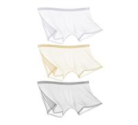 CEAeis Ice Silk Sexy Mesh Full Transparent Boxer Shorts, Breathable See Through Hollow Briefs for Men (3pcs-B,3XL)