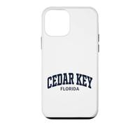 Cedar Key Florida Vintage Case for iPhone 12 mini