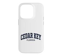 Cedar Key Florida Vintage Case for iPhone 14 Pro