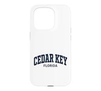 Cedar Key Florida Vintage Case for iPhone 15 Pro