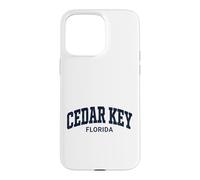 Cedar Key Florida Vintage Case for iPhone 15 Pro Max