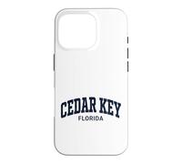 Cedar Key Florida Vintage Case for iPhone 16 Pro
