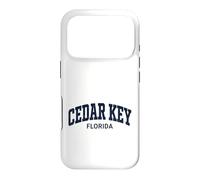 Cedar Key Florida Vintage Case for iPhone 17 Pro