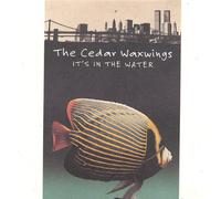 Cedar Waxwings - Its in the Water