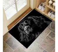 CEDNXOER Black Door Mats Indoor Washable, 80x120 cm Doormats,Soft Low Pile Front Door Mat,Non-slip Cute Animals Absorbent Doormat, Cocker Spaniel Print Floor Carpet, Inside Entrance Rug