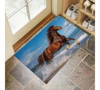 CEDNXOER Blue Non-Slip Washable Doormat for Indoor, Beach Running Horse Non-slip Dirt Trapper, 80x120 cm Water Absorbent Floor Mat,Soft Animal Doormats for front door, Entryway, Pets