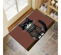 CEDNXOER Cartoon Animals Indoor Washable Dirt Trapper Non Slip Entrance Rug, 60x90 cm Absorbent Thin Low Profile Doormat, Brown Inside Floor Mat, Green-Eyed Cat Carpet for Front Back Door