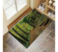 CEDNXOER Door Mat Indoor 40x60 cm, Non-Slip Dirt Trapper Door Mat, Machine Washable Fallen Leaves Road Low Profile Entrance Rug, Nature Forest Soft Inside Floor Carpet for Entryway