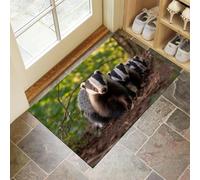 CEDNXOER Green Washable Door Mats Indoor, Jungle Badger Non-Slip Dirt Trapper Front Door Mat, Machine Washable Cute Animals Entrance Rug, Super Soft Absorbent Inside Doormats 45x75 cm