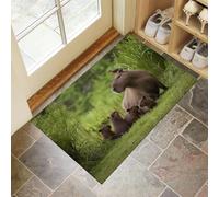 CEDNXOER Olive Green Door Mats Indoor Washable, 90x150 cm Doormats,Soft Low Pile Front Door Mat,Non-slip Modern Animal Absorbent Doormat, Capybara Family Print Floor Carpet, Inside Entrance Rug